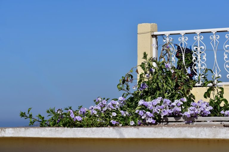 Ghidul complet pentru amenajarea unei terase sau a unui balcon mic